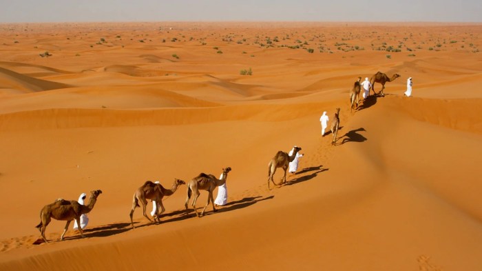 Bedouin bedouins 1898 nomads colony flashbak palestine sinai extraordinary spectacular desert evangelical stirring dwellers congress mashable monovisions colonies